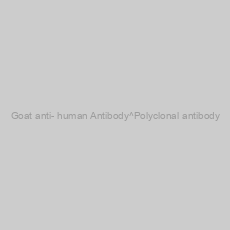 Image of Goat anti- human Antibody^Polyclonal antibody